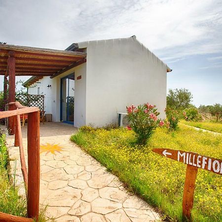 Agriturismo Mieleamaro Olbia Exterior foto