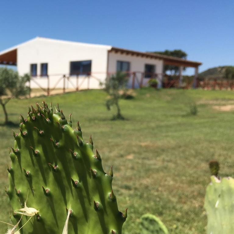 Agriturismo Mieleamaro Olbia Exterior foto
