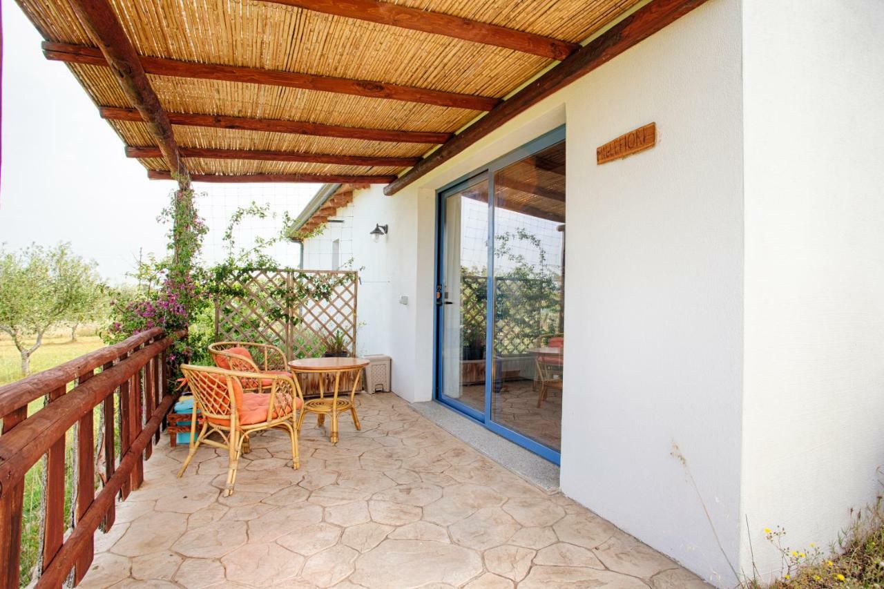 Agriturismo Mieleamaro Olbia Exterior foto